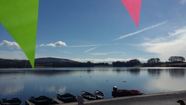 Bank holiday sunshine near Carlisle at Talkin Tarn